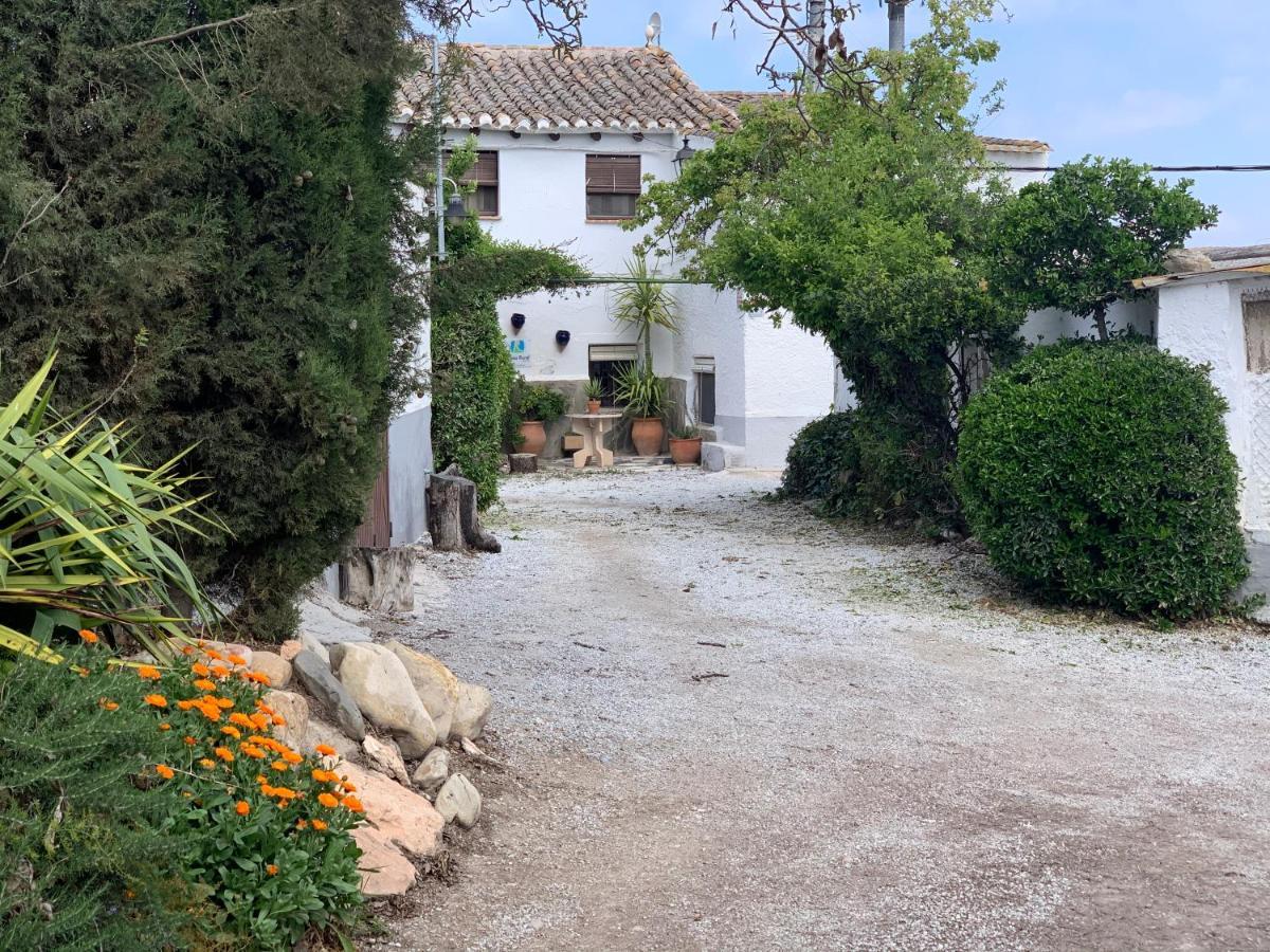 バサ Cortijo Bustamanteゲストハウス エクステリア 写真