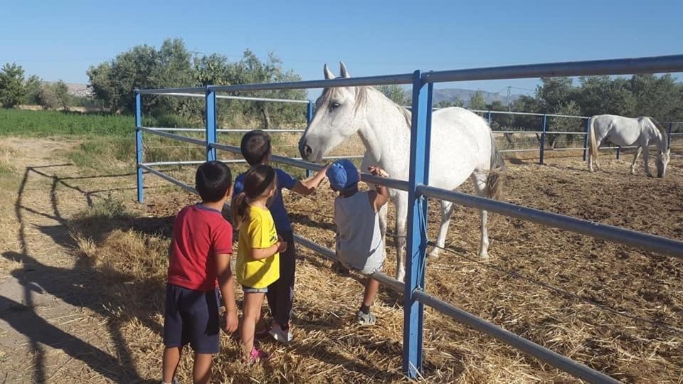 バサ Cortijo Bustamanteゲストハウス エクステリア 写真