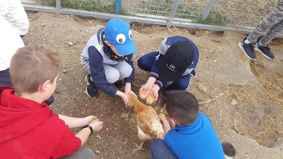 バサ Cortijo Bustamanteゲストハウス エクステリア 写真